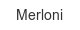 merloni