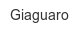 giaguaro