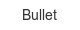 bullet