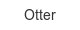 otter