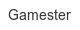 gamester
