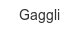 gaggli