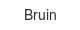 bruin