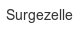 surgezelle
