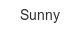 sunny