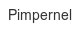 pimpernel