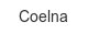 coelna