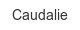 Caudalie caudalie