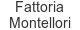 fattoria-montellori