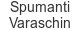 spumanti-varaschin