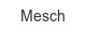 mesch