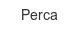 perca