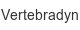 vertebradyn