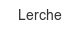 lerche
