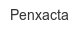 penxacta