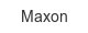 maxon
