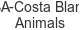 cba-costa-blanca-animals