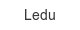 ledu