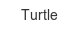 turtle