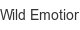 wild-emotion