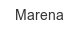 marena