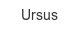 ursus