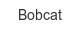 bobcat