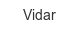 vidar