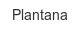 plantana