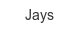 jays