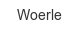 woerle
