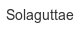 solaguttae