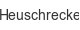 heuschrecke