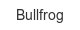 bullfrog