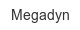 megadyn