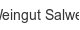 weingut-salwey