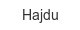 hajdu