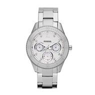 Fossil-stella-es3098