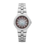 Fossil-sylvia-am4405