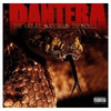 Great-southern-trendkill-pantera