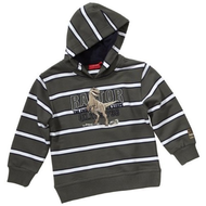 Jungen-sweatshirt-gruen-gestreift