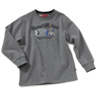 Salt-pepper-jungen-sweatshirt-grau