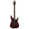 Schecter-hellraiser-c-1