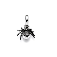 Viventy-760562-kreuzspinne