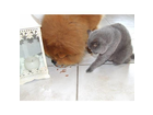 Und-sowas-nennt-sich-freundschaft-na-super