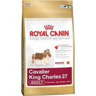 Royal-canin-cavalier-king-charles-27-adult