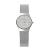 Skagen-damenuhr-233xsgsc