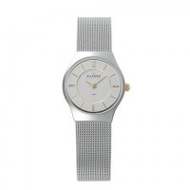 Skagen-damenuhr-233xsgsc