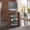 Bfk-tv-phonotisch-mesa