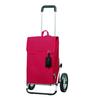 Andersen-royal-shopper-june